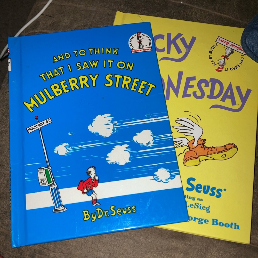 Dr. Suess I Saw It On Mulberry Street Wacky Wednesday Book in great condition!